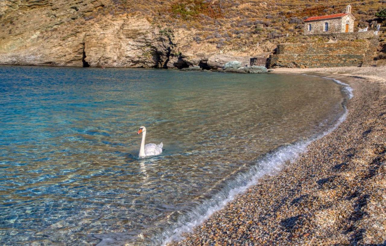 Andros Guesthouses Экстерьер фото