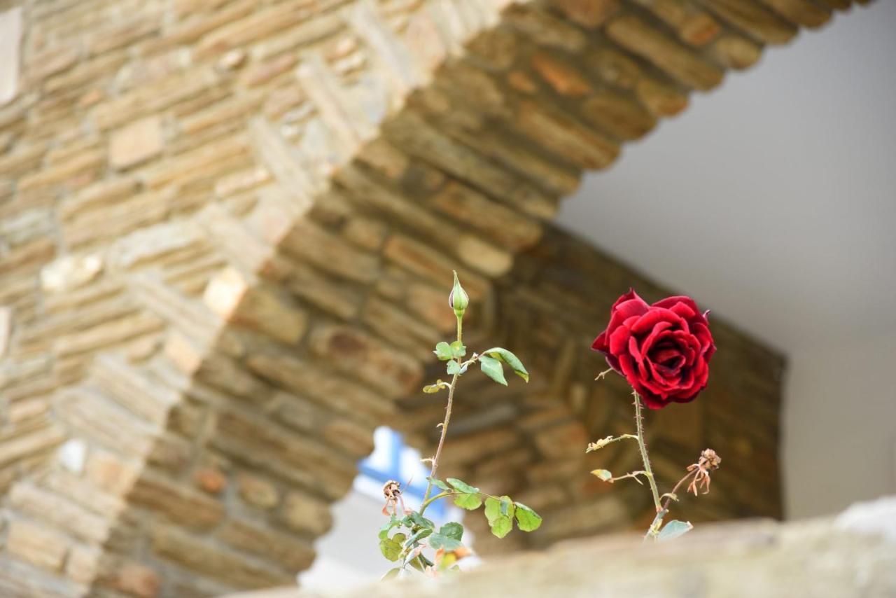 Andros Guesthouses Экстерьер фото